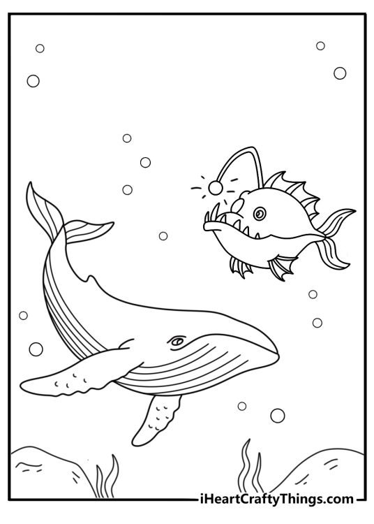 Deep sea whale with glowing lure fish nearby detailed coloring sheet