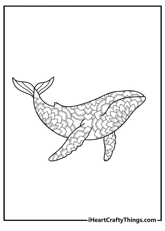 Mandala style whale with repeating shapes intricate coloring page