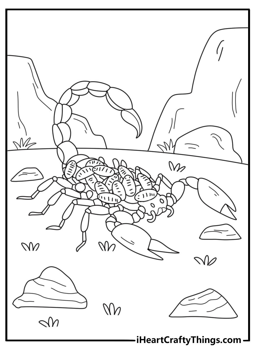 Mother scorpion carrying babies on her back detailed coloring page for adults