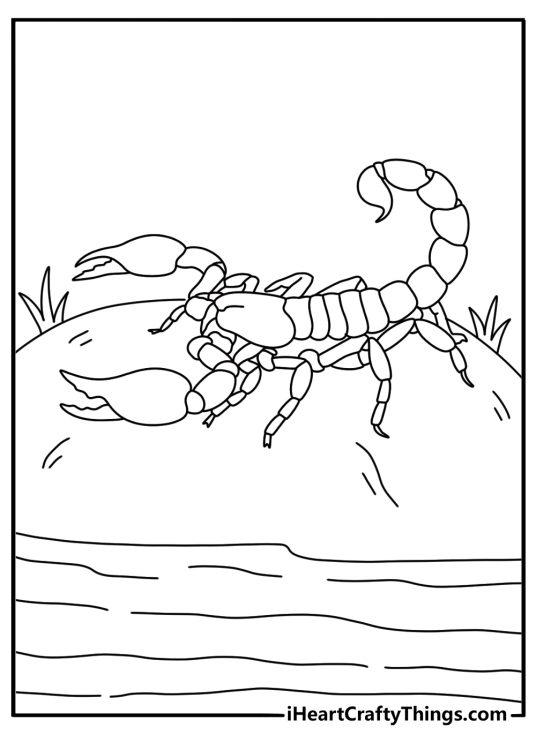 Scorpion by smooth river stones shallow stream coloring printable