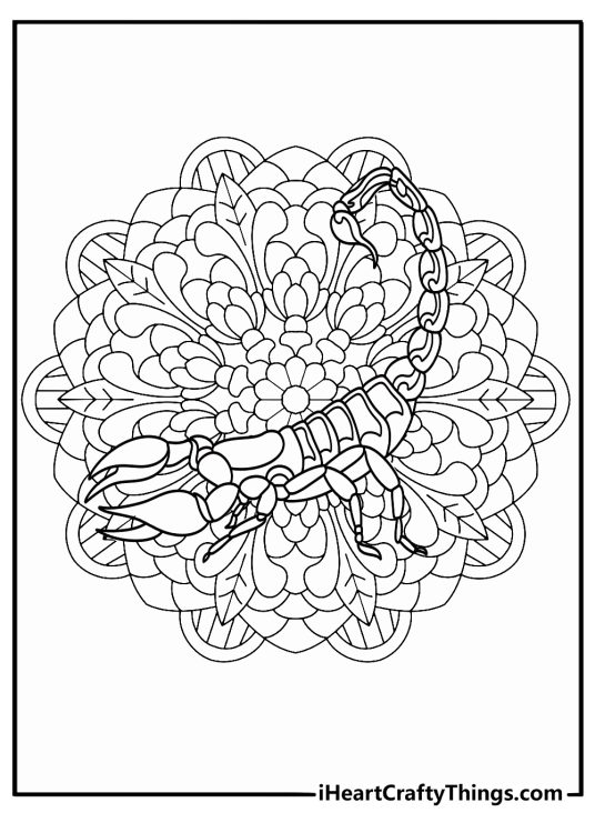 Scorpion centered in a mandala pattern intricate coloring sheet for adults PDF