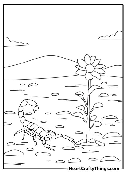 Scorpion next to a single desert flower cute coloring sheet for kids