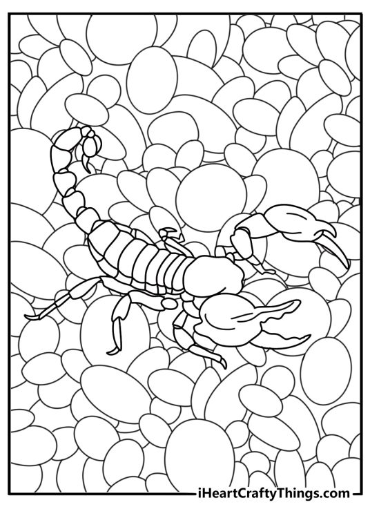 Scorpion trail marks near small pebbles fun coloring printable for kids