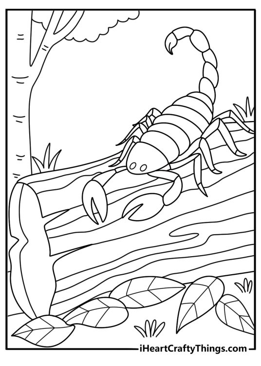 Scorpion under a fallen log on forest floor printable coloring sheet