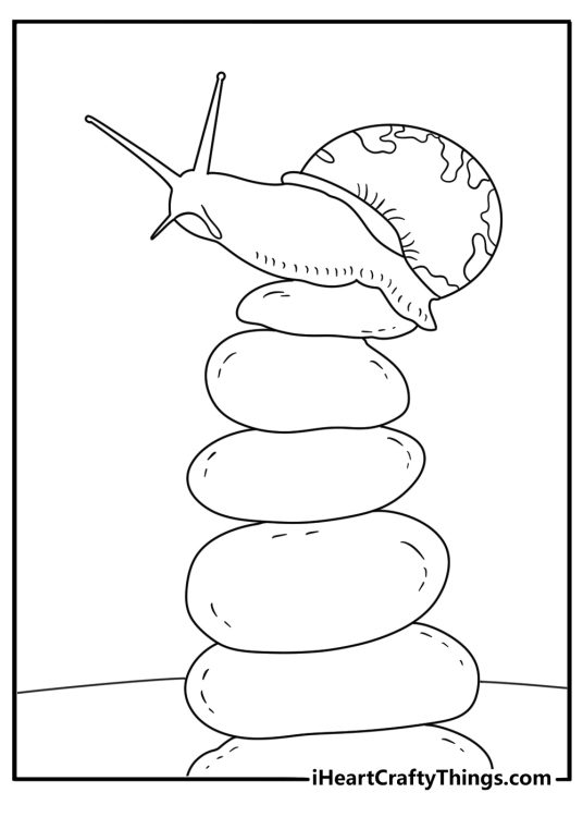 Simple snail coloring sheet with a snail beside smooth pebbles
