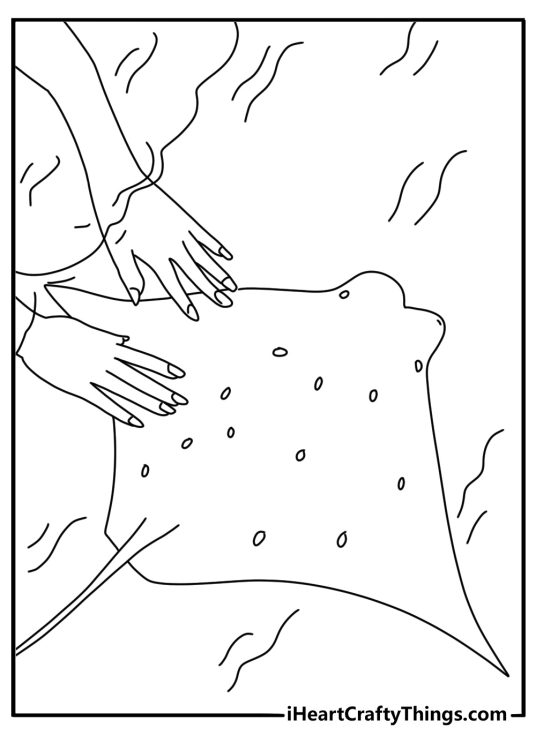 Stingray coloring sheet featuring a ray at a touch tank