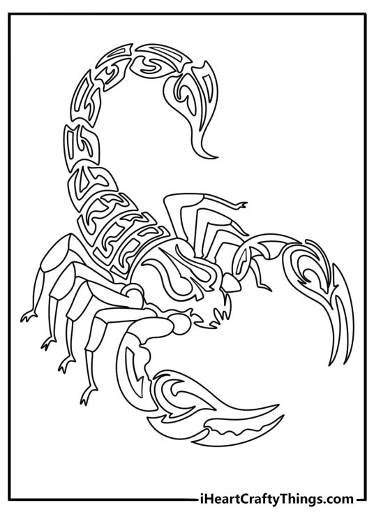 Tribal style scorpion bold lines tattoo themed coloring page printable