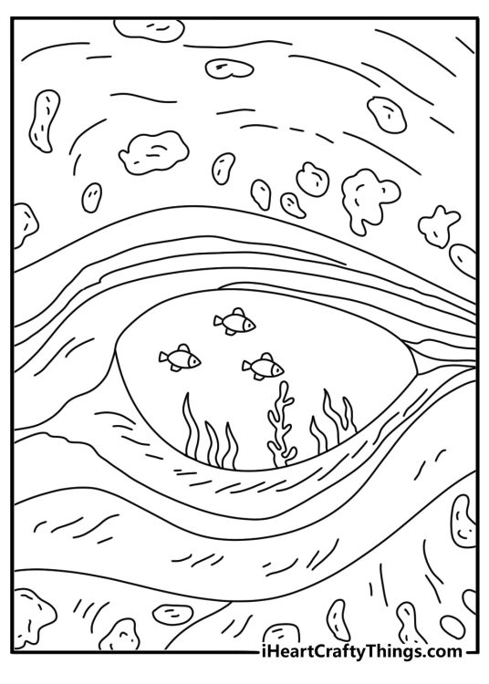 Whale eye close view with ocean reflection detailed coloring sheet