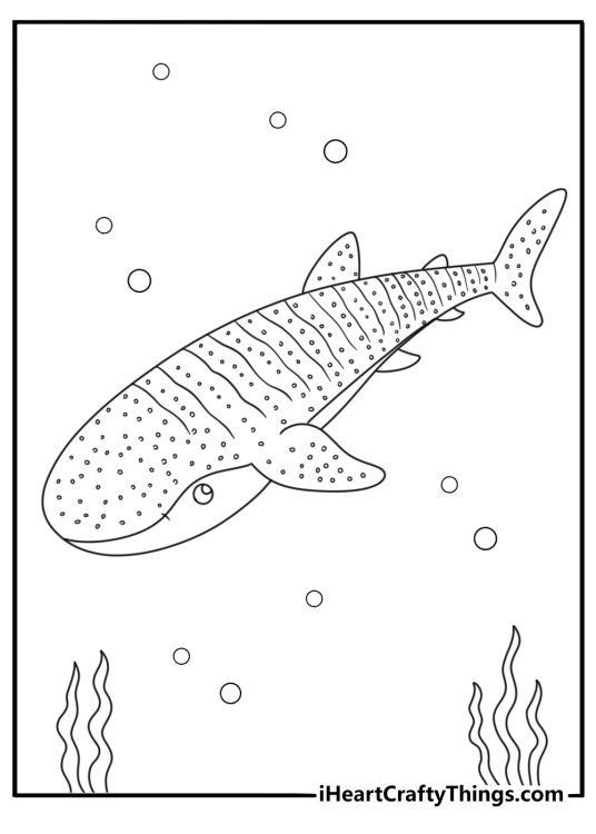 Whale shark with dotted skin pattern realistic coloring page printable