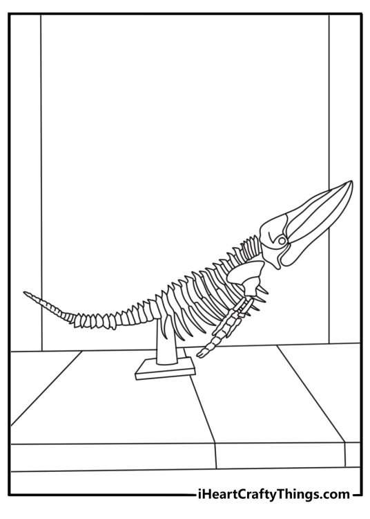 Whale skeleton bones in museum hall detailed coloring page for adults