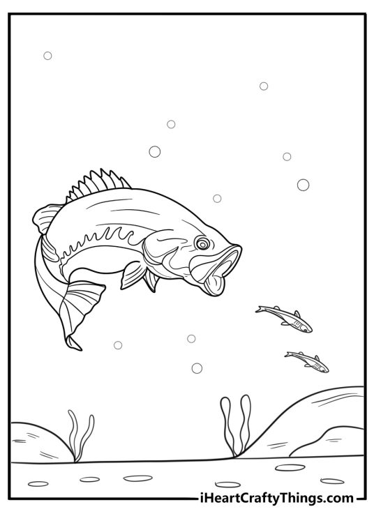 Bass chasing smaller fish printable coloring sheet
