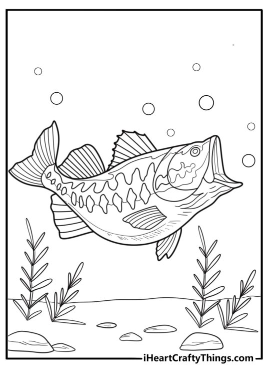 Bass fish underwater coloring page for kids