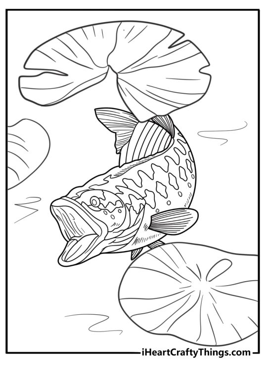 Bass hiding under lily pads coloring sheet for kids