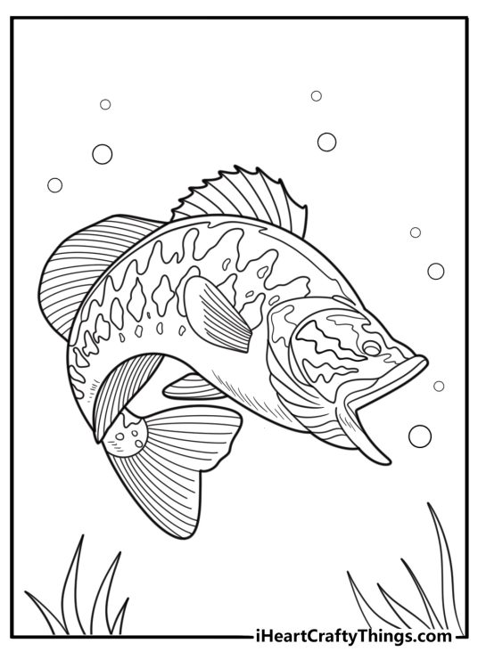 Bass opening mouth underwater detailed coloring sheet