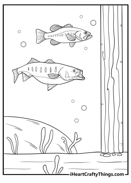 Bass swimming near dock pillars printable coloring page