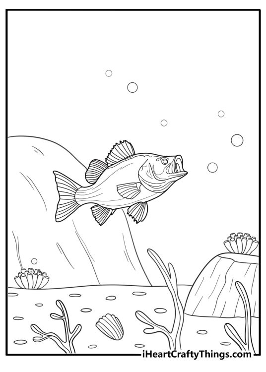 Bass swimming near rocks free pdf coloring page