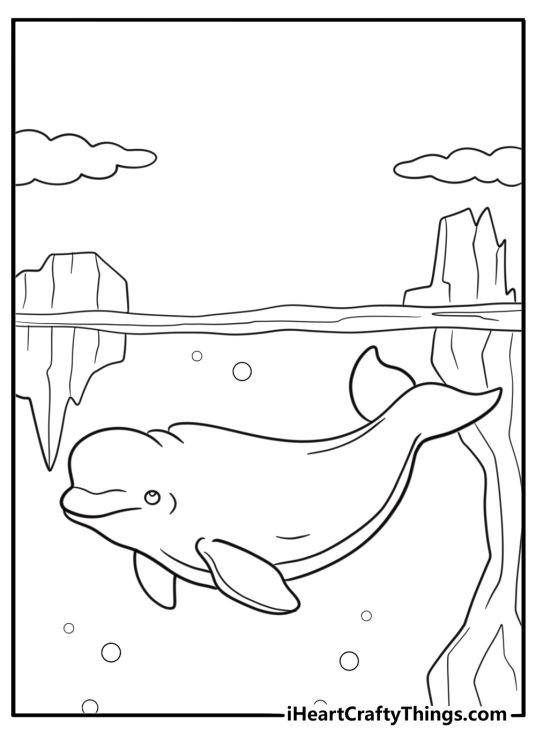 Beluga whale in arctic waters coloring sheet