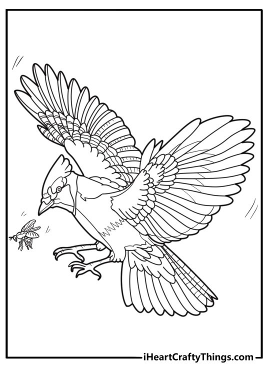 Blue jay chasing insects mid air fun coloring page