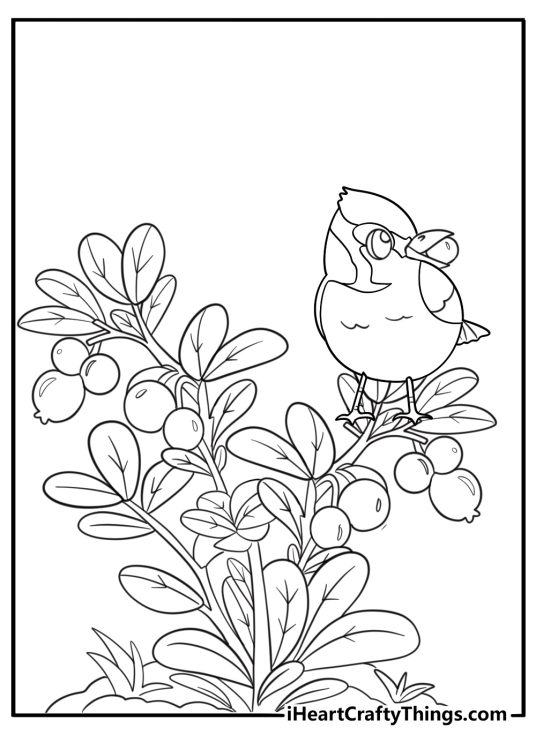 Blue jay eating berries from a bush kawaii style coloring sheet