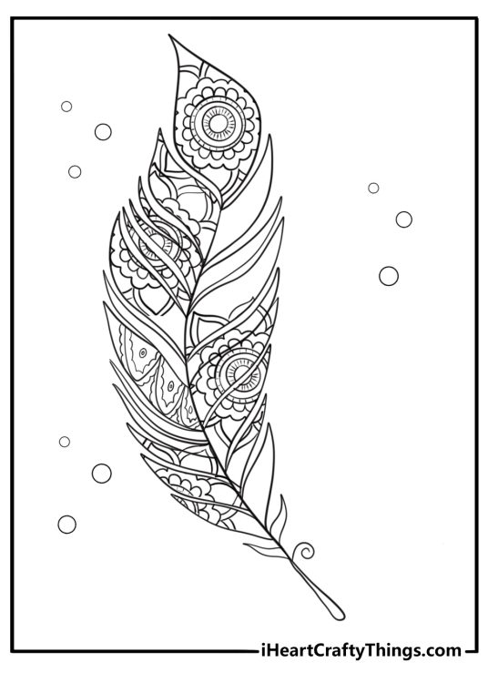 Blue jay feathers close up mandala style coloring page for adults