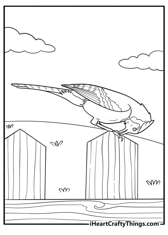 Blue jay perched on a wooden fence simple coloring page