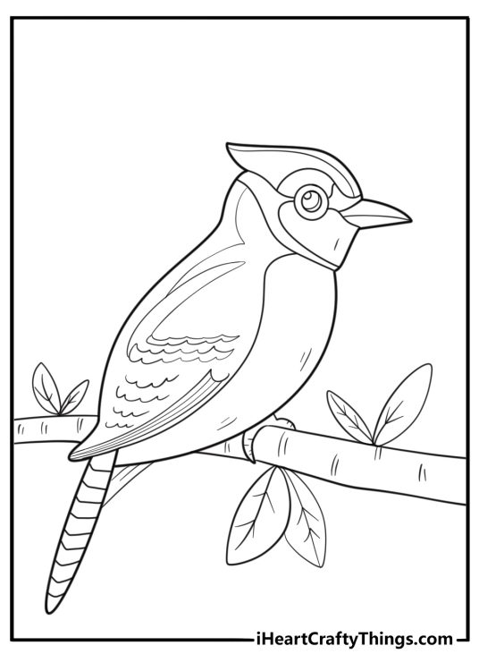 Blue jay sitting on a tree branch easy coloring page for kids