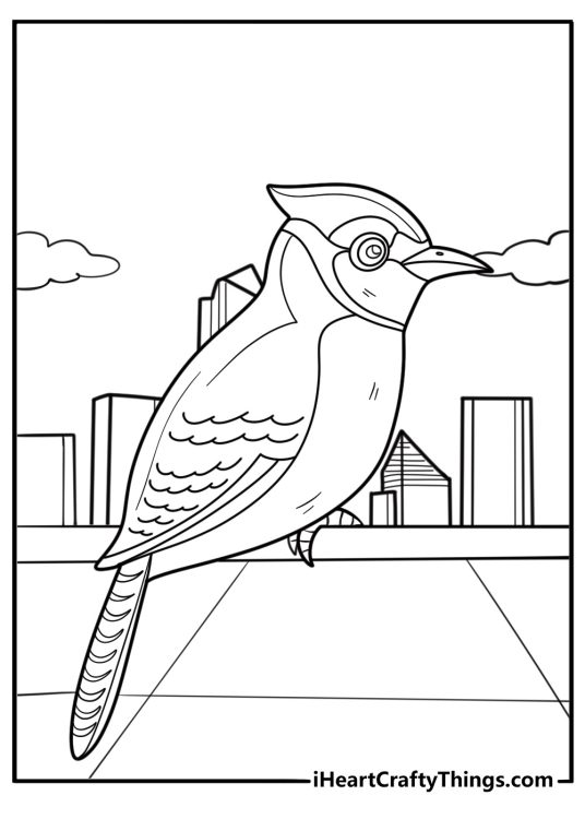 Blue jay watching from a rooftop city background coloring page