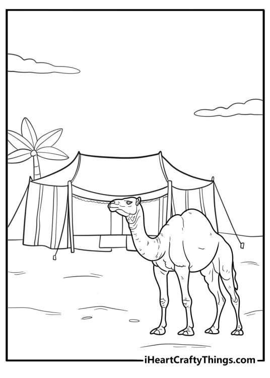 Camel beside a desert tent simple nomad style coloring sheet