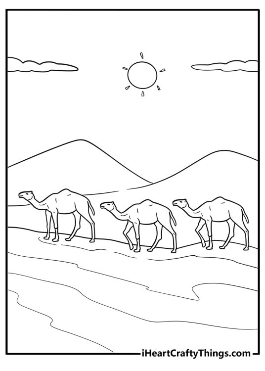 Camel herd walking in a line desert animals coloring page
