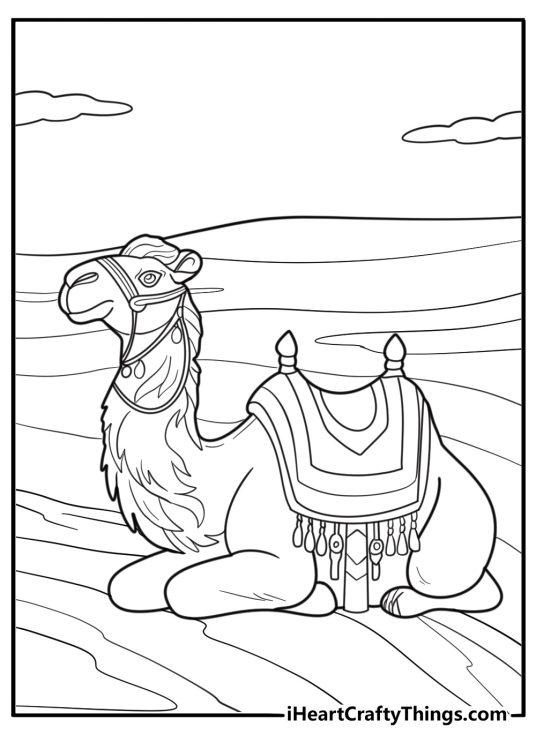 Camel resting in the sand detailed desert coloring sheet