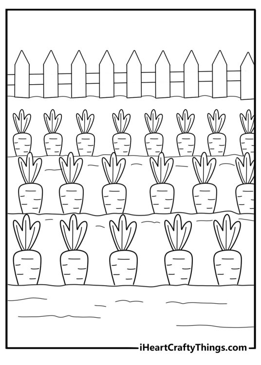 carrot field with rows of vegetables farm coloring page