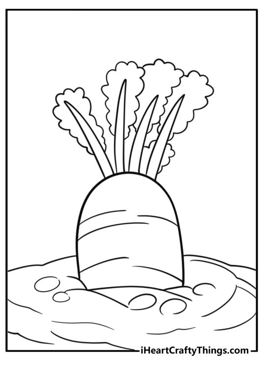 Carrot growing in the soil coloring page for kids