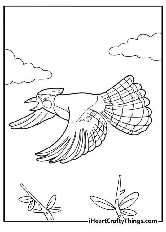 Cartoon blue jay flying with wings spread fun coloring sheet