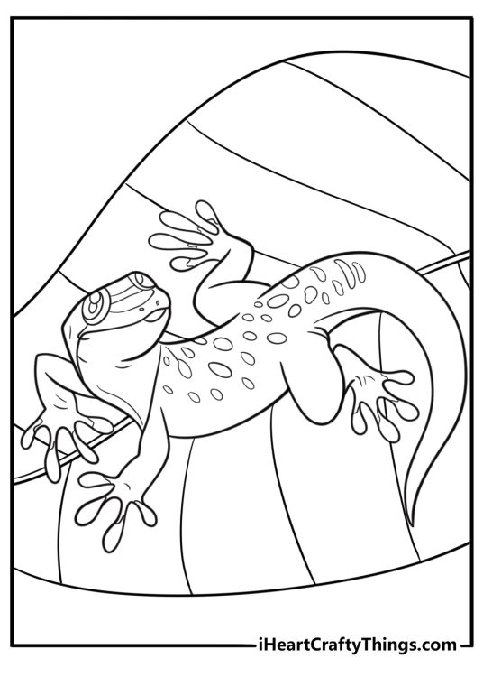 Cartoon gecko with sticky toes free coloring page pdf
