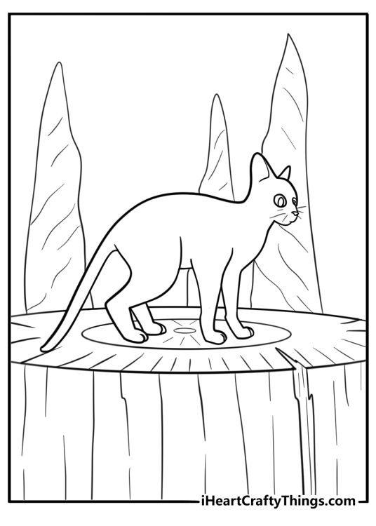 Cat climbing stone tower near flow