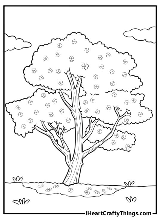 Cherry blossom tree in bloom detailed coloring sheet