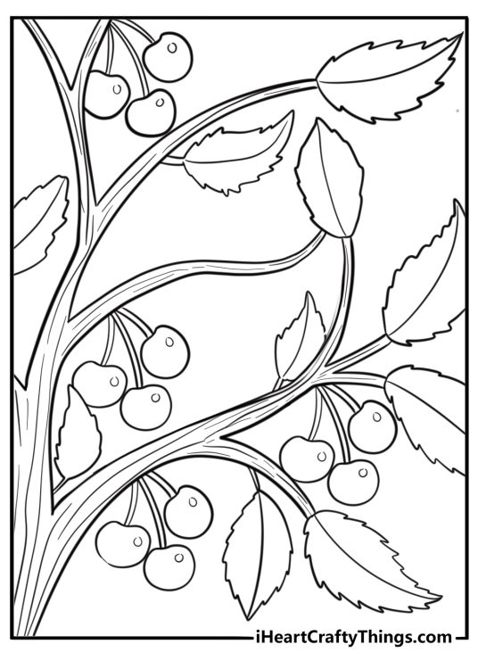 Cherry branch with leaves coloring page for kids