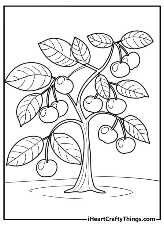 25 Cherry Coloring Pages