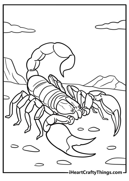 Close up of scorpion stinger detailed coloring sheet