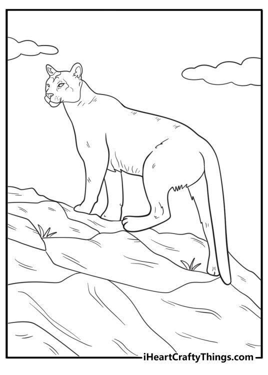Cougar climbing a mountain slope coloring page