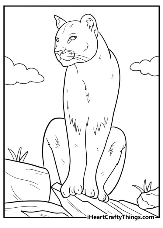 Cougar coloring pages