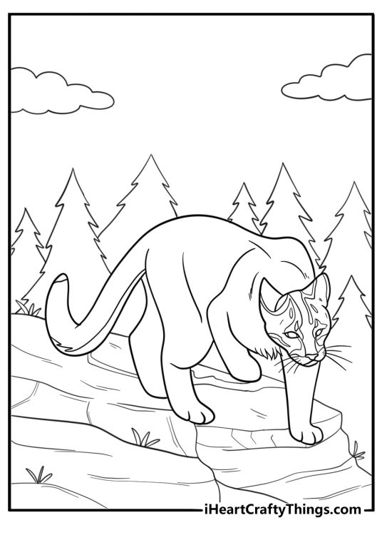 Cougar exploring a rocky terrain coloring page