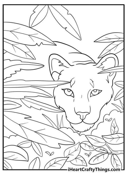 Cougar hiding behind bushes coloring page