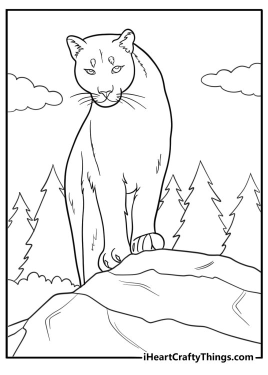 Cougar looking over a valley coloring page