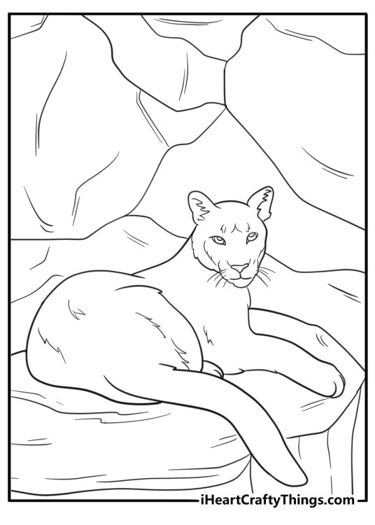 Cougar lying on a ledge in the mountains coloring page