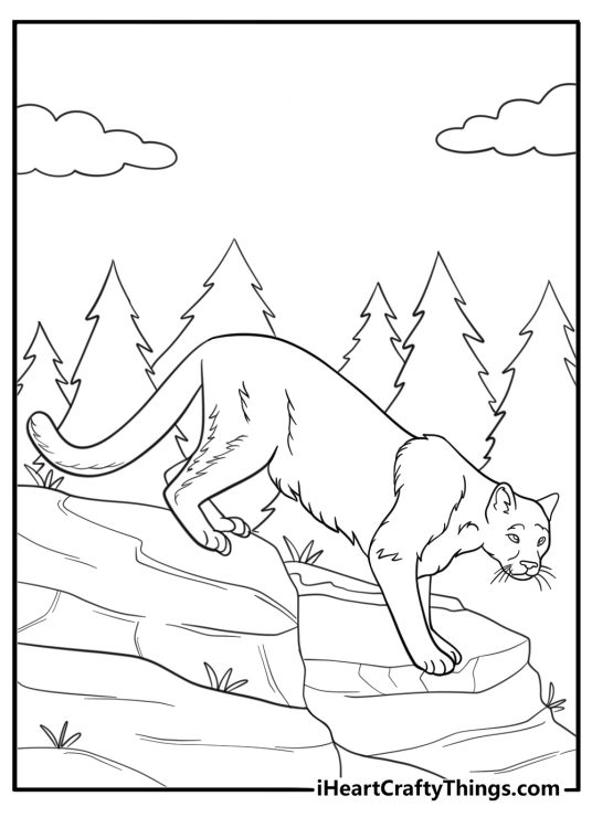 Cougar moving silently through the woods coloring page