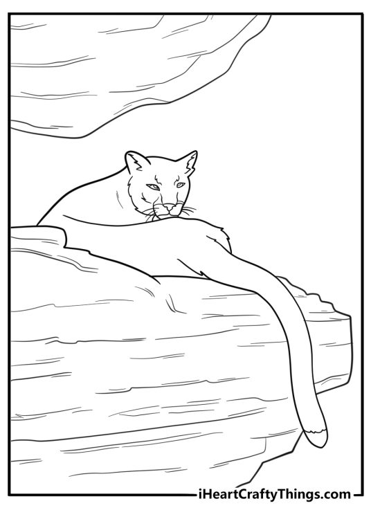 Cougar resting on a high rock coloring page