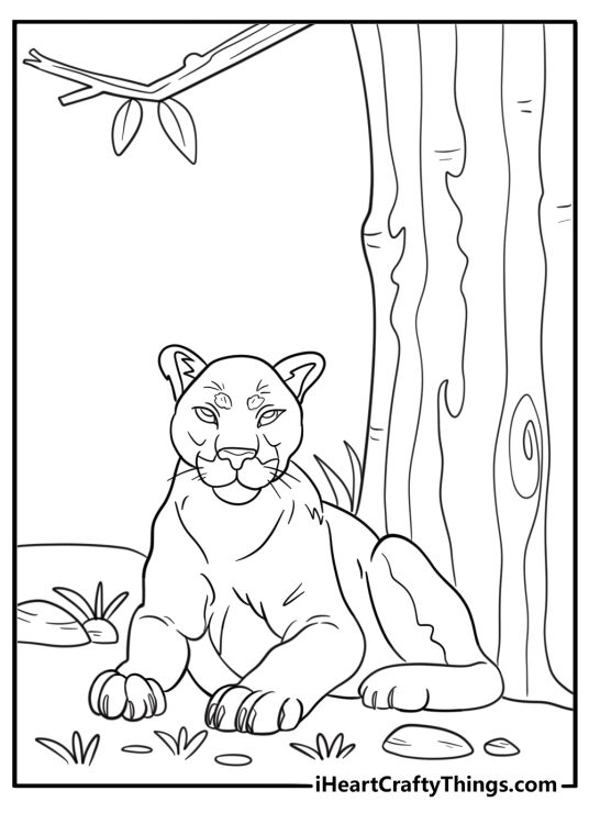 Cougar resting under a tree coloring page