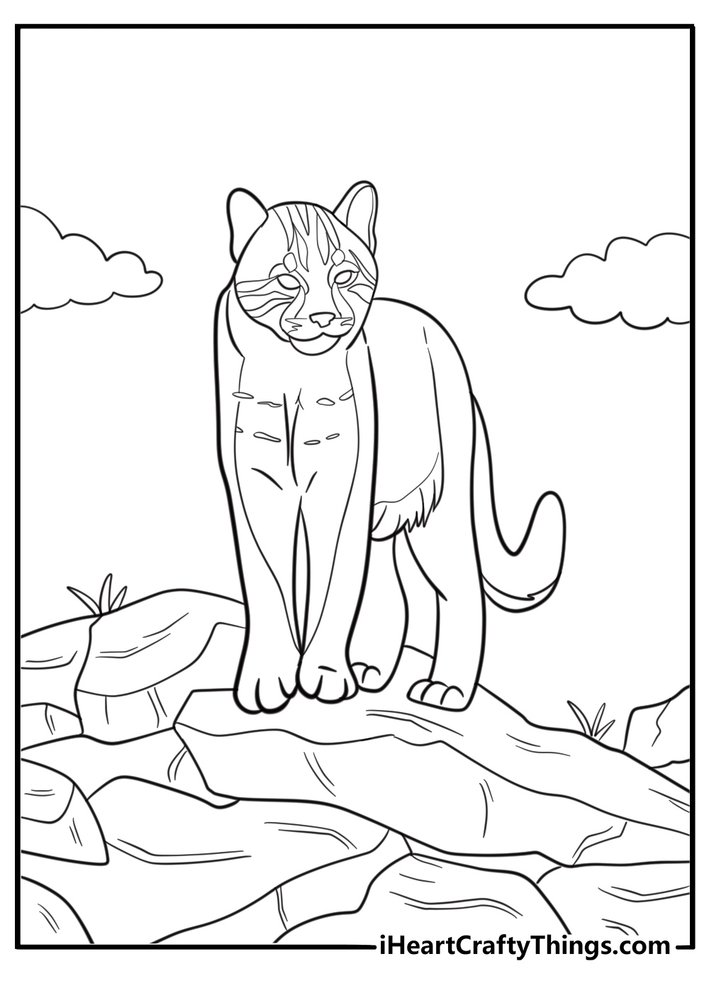 cougar standing on a rocky cliff coloring page