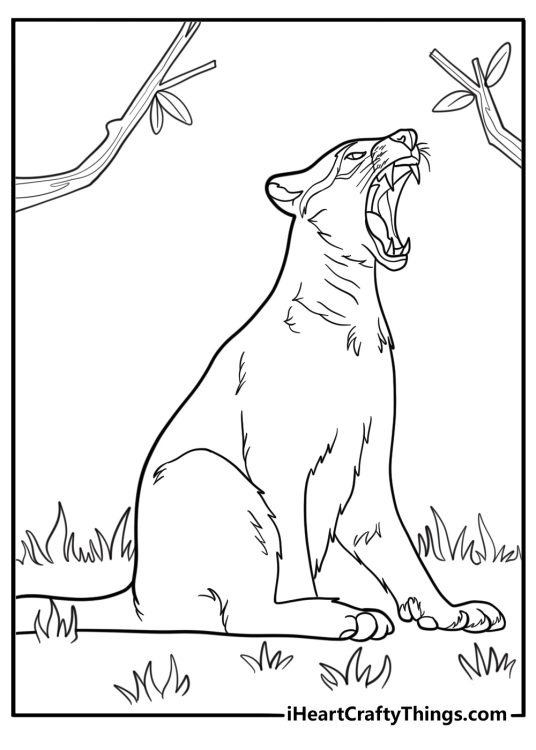 Cougar stretching its legs in the wild coloring page